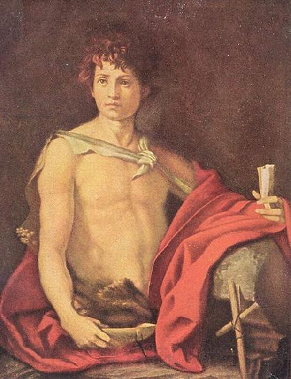 Andrea del Sarto Der jugendliche Johannes Norge oil painting art